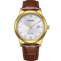 AW1782-11A                                        Eco-Drive                                        Herren Leder | silberfarben | ø 40mm