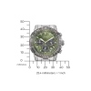 CA4664-60W                                        Promaster Eco-Drive                                        Herren Edelstahl | grün | ø 40mm