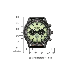 CA4505-21X Herren Leder | grün | ø 44mm
