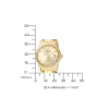 EU6002-51P               Damen Edelstahl | champagner | ø 27mm