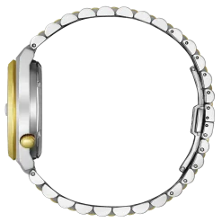 NK0024-54X Herren Edelstahl | grün